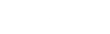 Zen Voyager